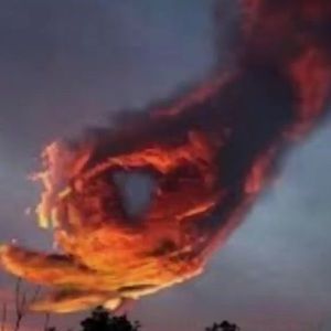 Meet your Posher, Evan